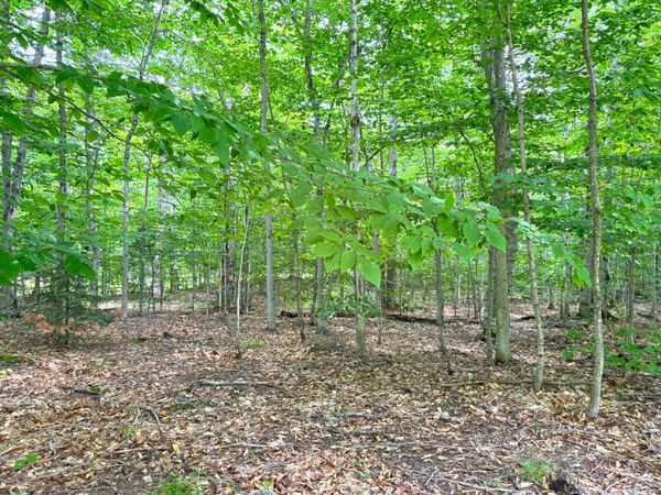 5353 M-123, Eckerman, MI 49728