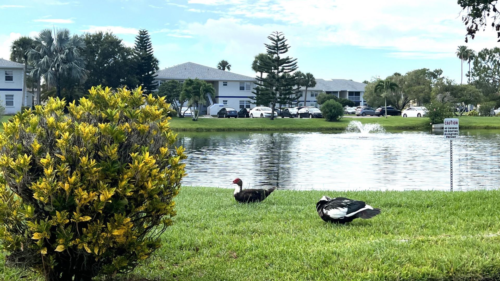 1532 SE Royal Green Cir O-201, Port Saint Lucie, FL 34952 Photo