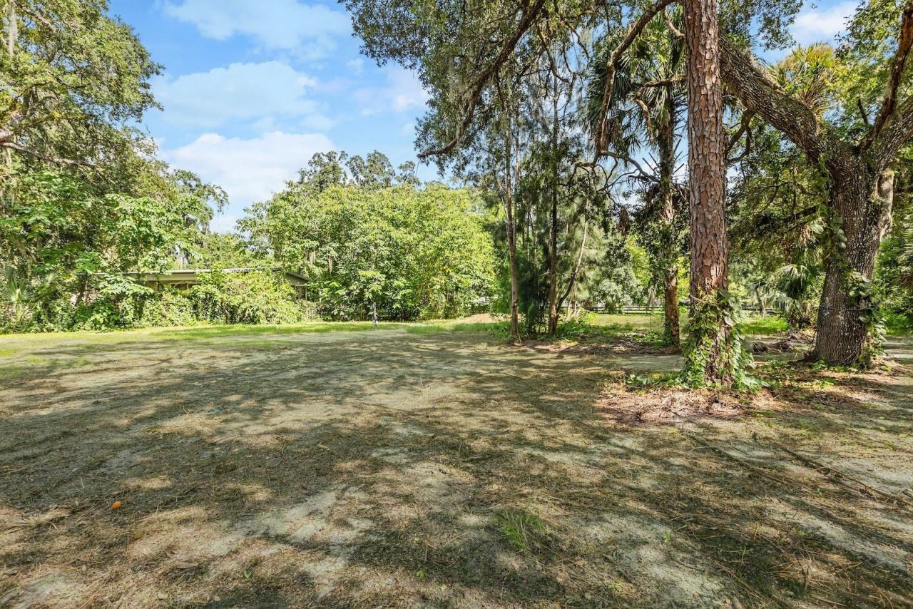 25046 Celestial Street, Christmas, FL 32709 Photo