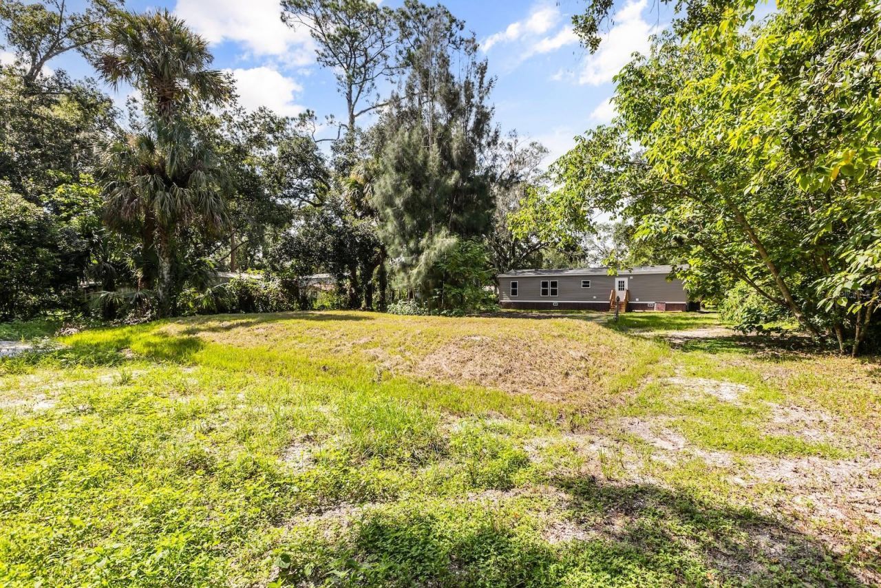 25046 Celestial Street, Christmas, FL 32709 Photo
