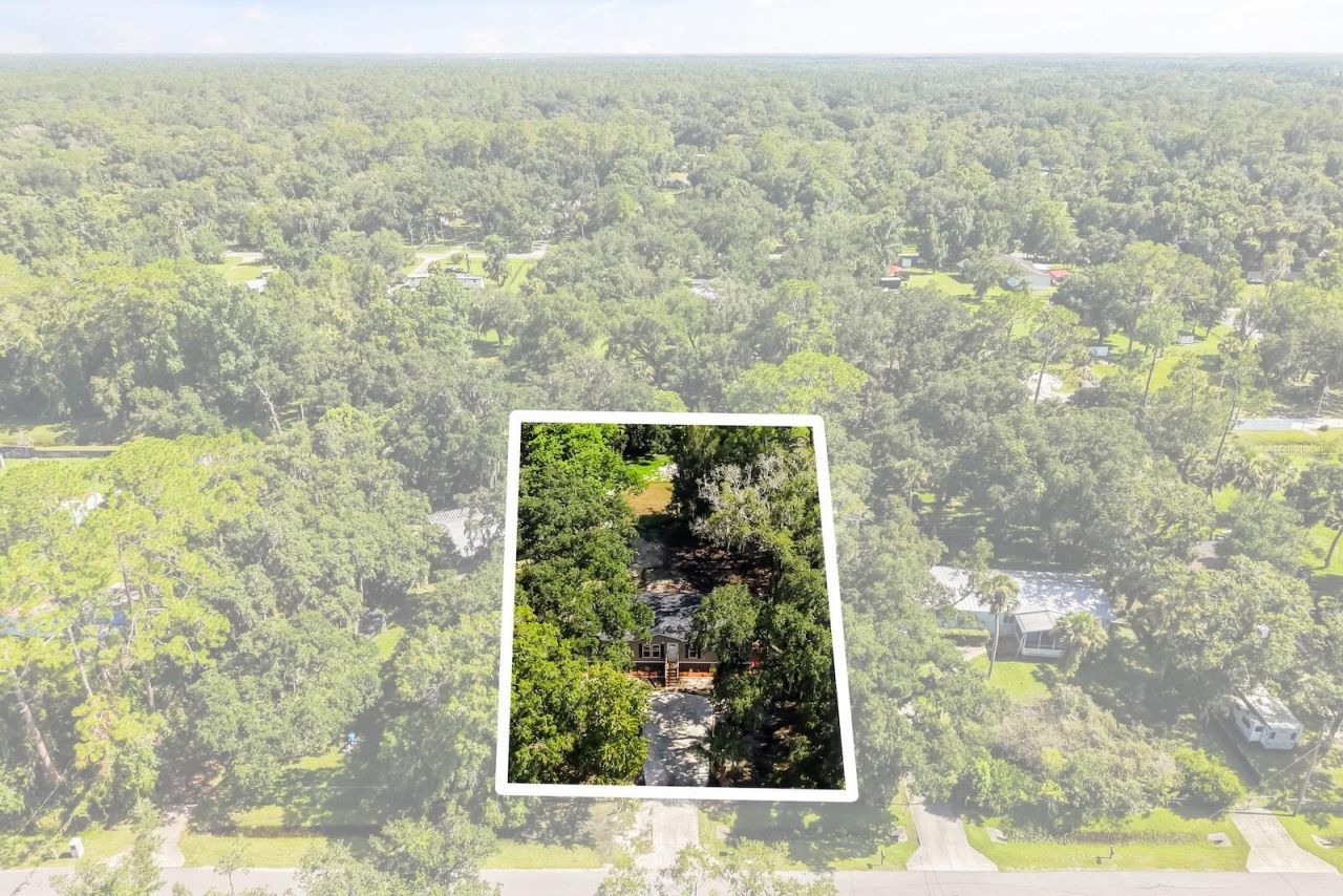 25046 Celestial Street, Christmas, FL 32709 Photo