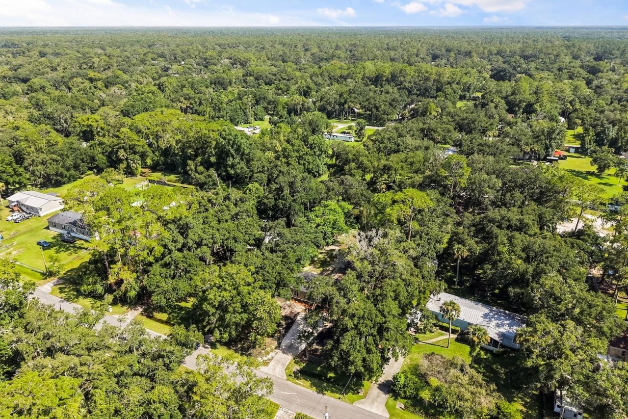 25046 Celestial Street, Christmas, FL 32709 Photo