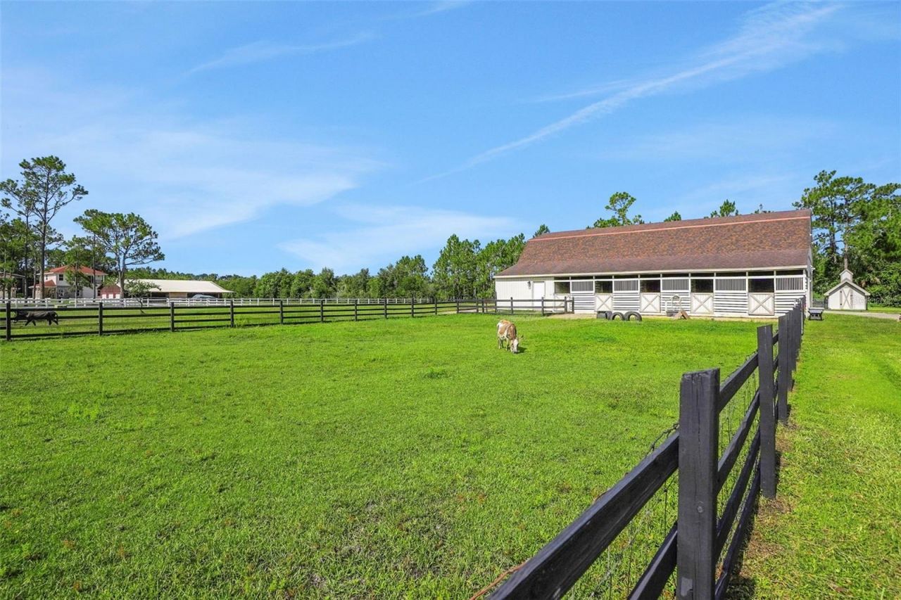 260 Spring Forest Drive , New Smyrna Beach, FL 32168 Photo