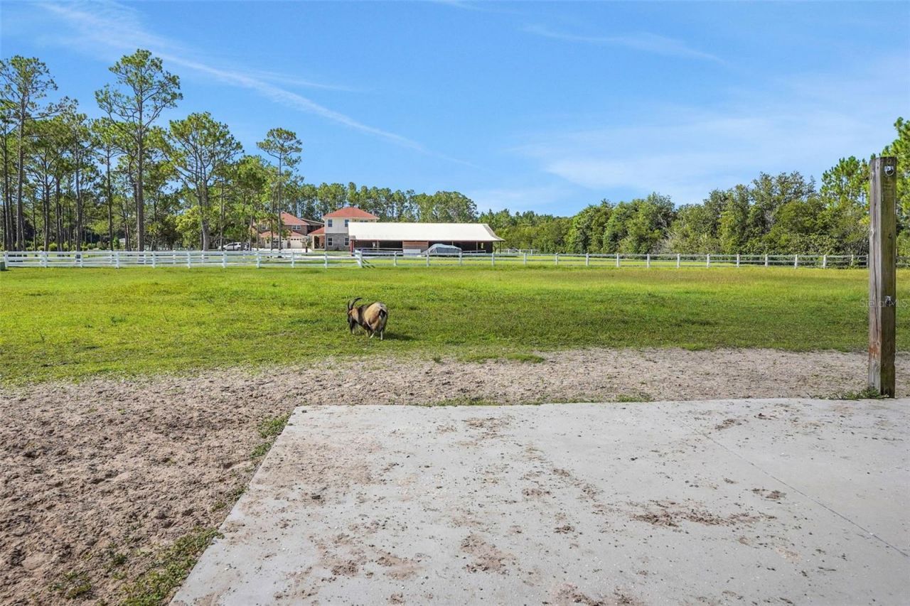 260 Spring Forest Drive , New Smyrna Beach, FL 32168 Photo
