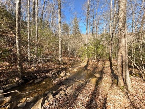 5 Deerhead Road, Dunlap, TN 37327