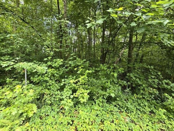 133 Lower Brow Road, Unit 133, Dunlap, TN 37327