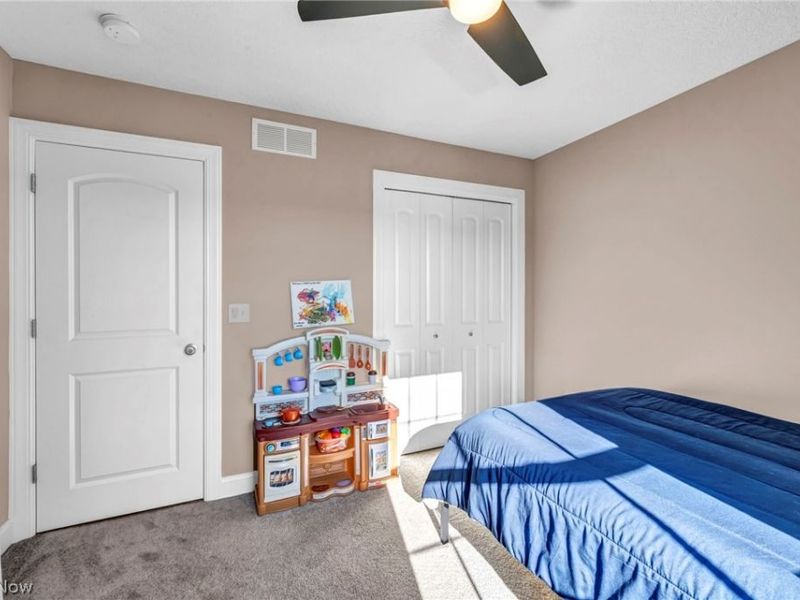 3998 Mary Way, Canfield, OH 44406 Photo 29
