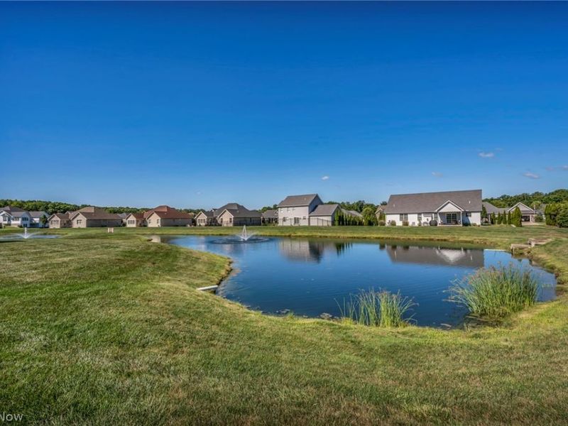 3998 Mary Way, Canfield, OH 44406 Photo 47