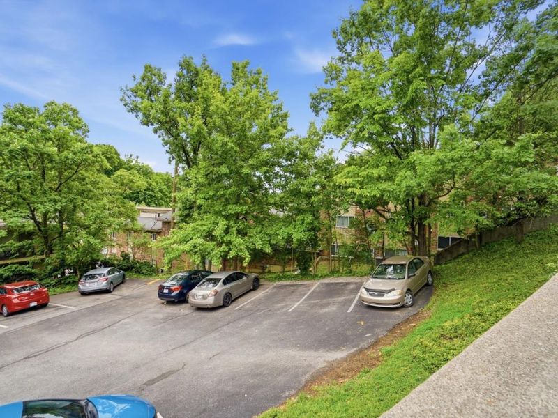 3069 Alpine, Unit 11, Cincinnati, OH 45208 Photo 39