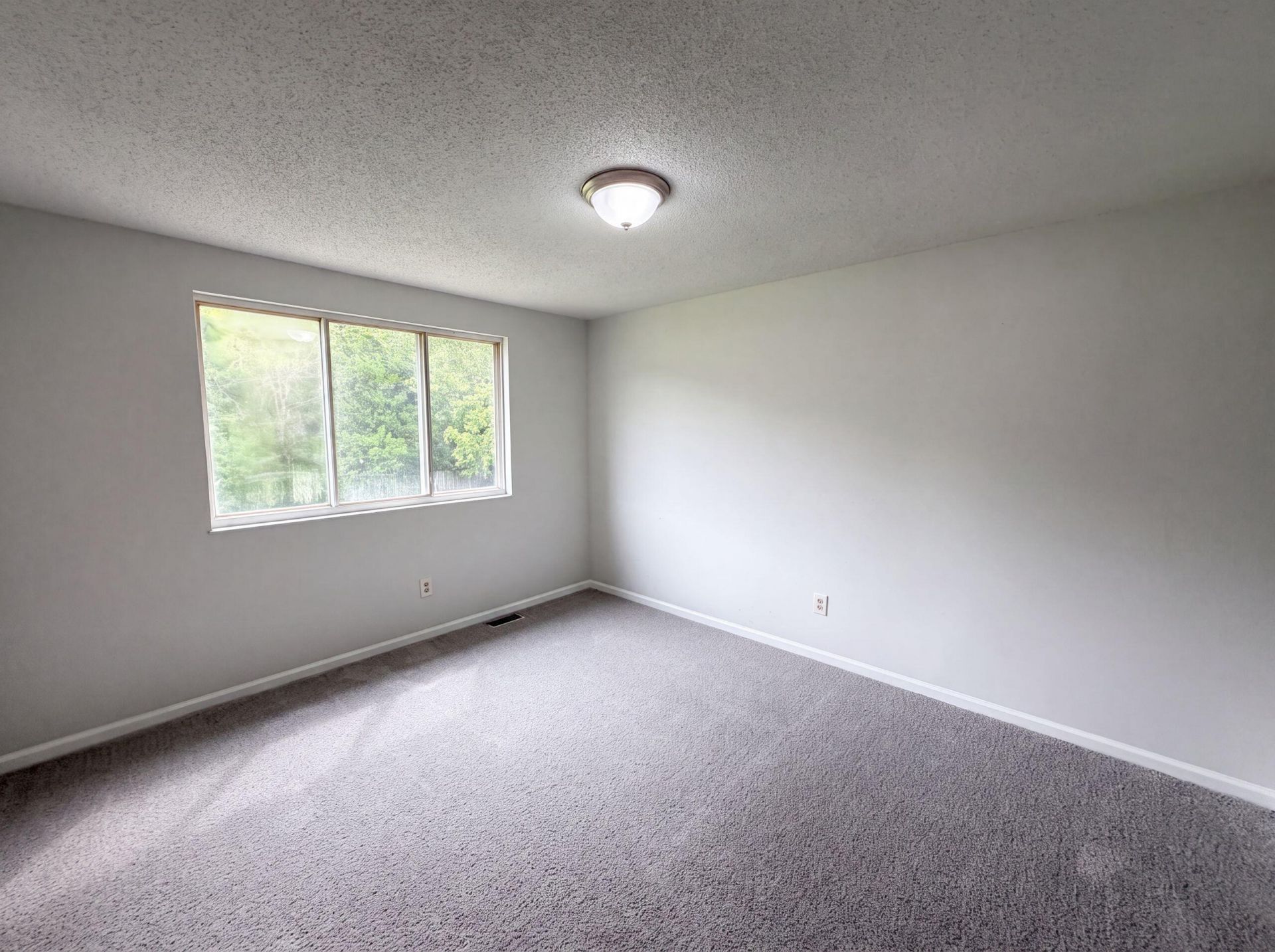 6786 Moss Court Photo 13