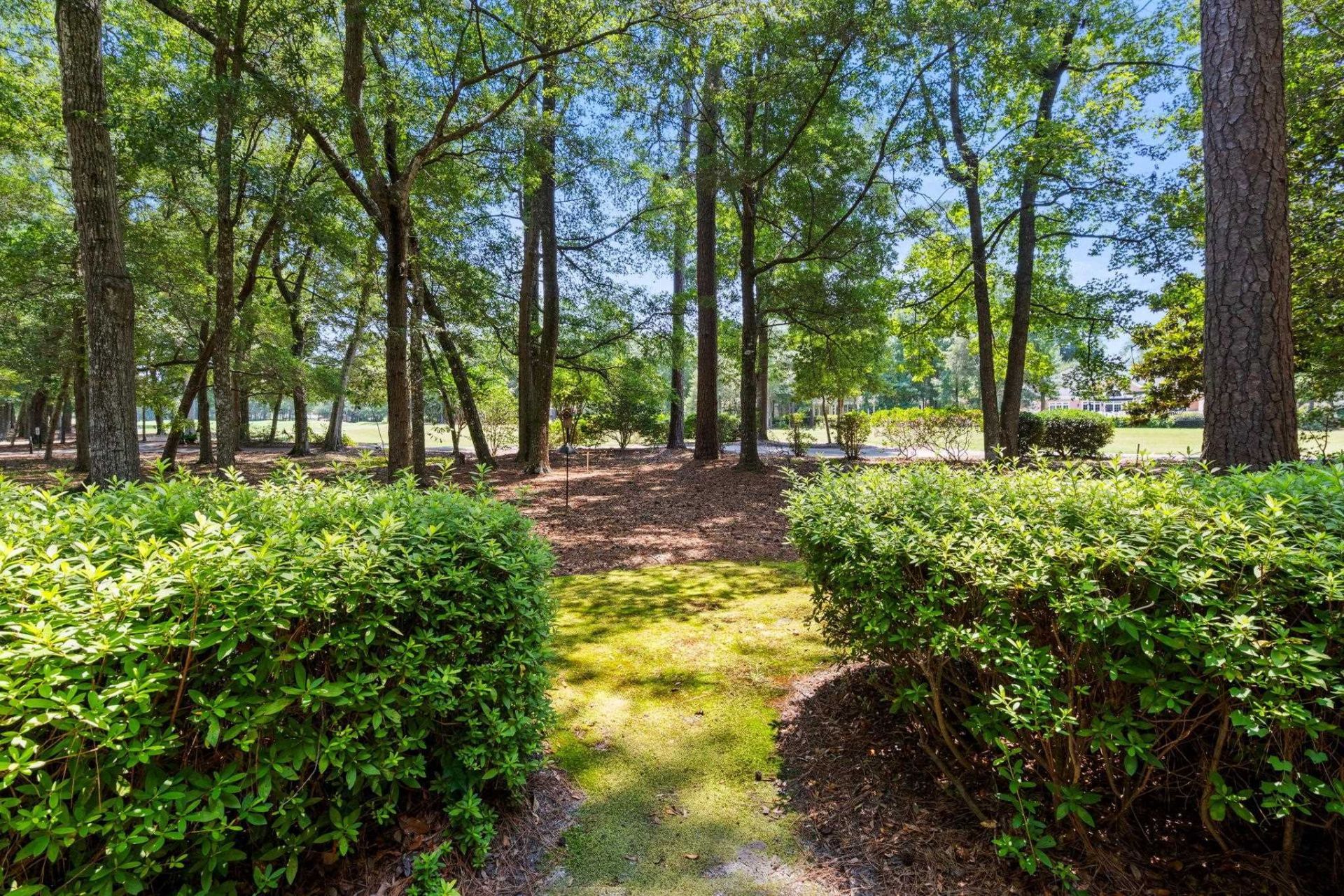 3031 Oak Grove Bend  Photo 26
