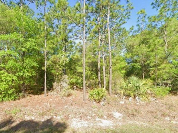 8621 N BLACKTHORN AVENUE , CRYSTAL RIVER, FL 34428