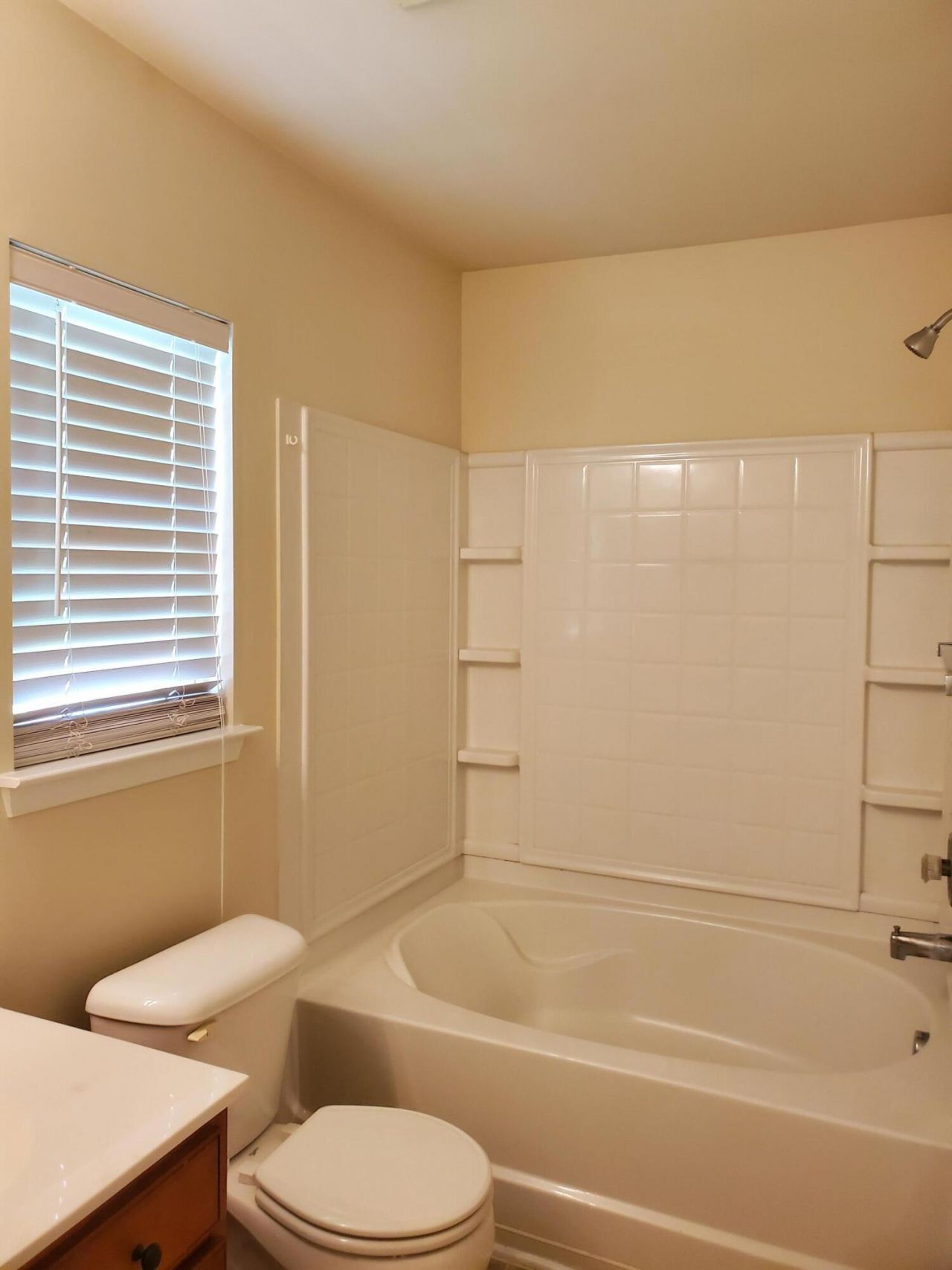103 Salem Creek Drive Photo 14