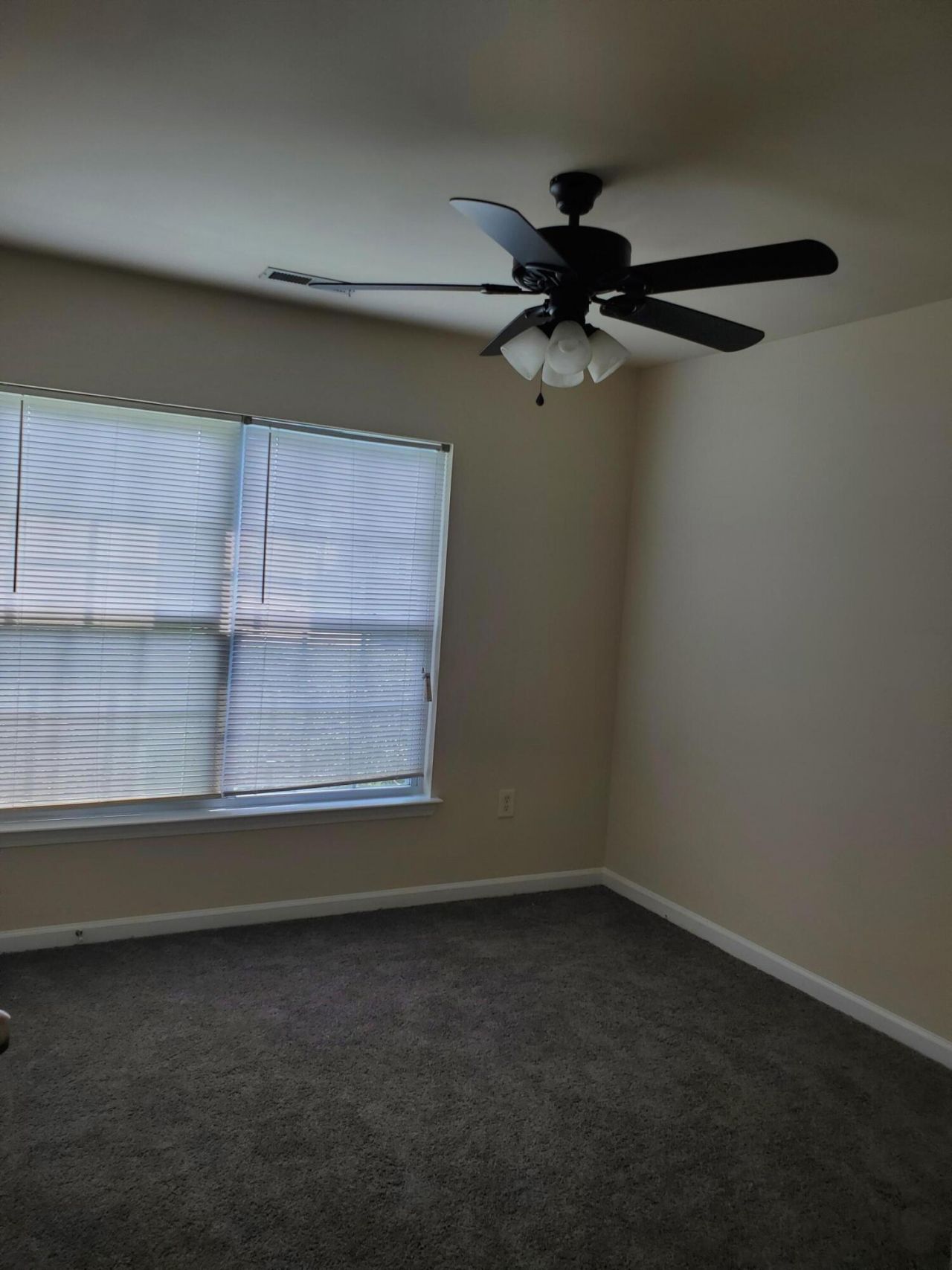 103 Salem Creek Drive Photo 15