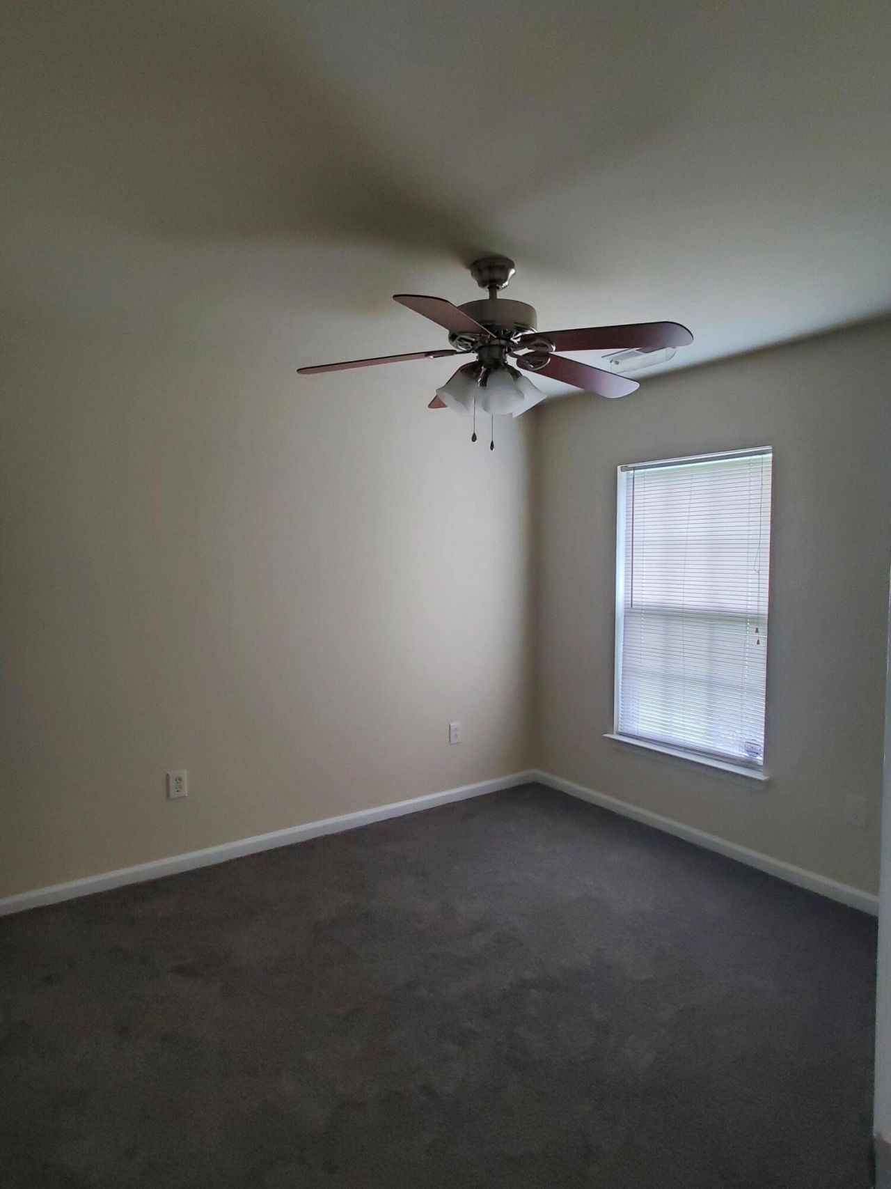 103 Salem Creek Drive Photo 16