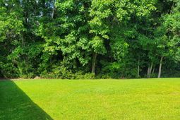 103 Salem Creek Drive photo 4