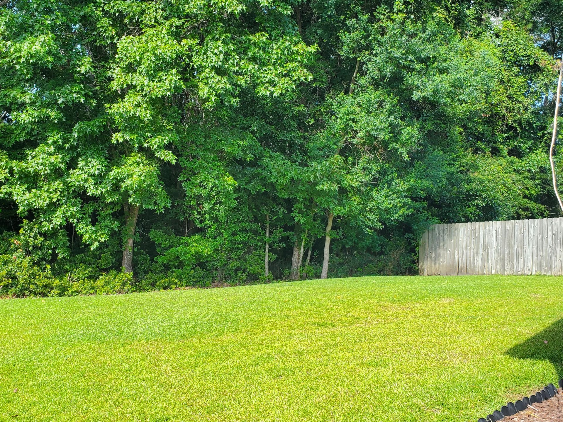 103 Salem Creek Drive Photo 4