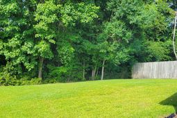 103 Salem Creek Drive photo 4