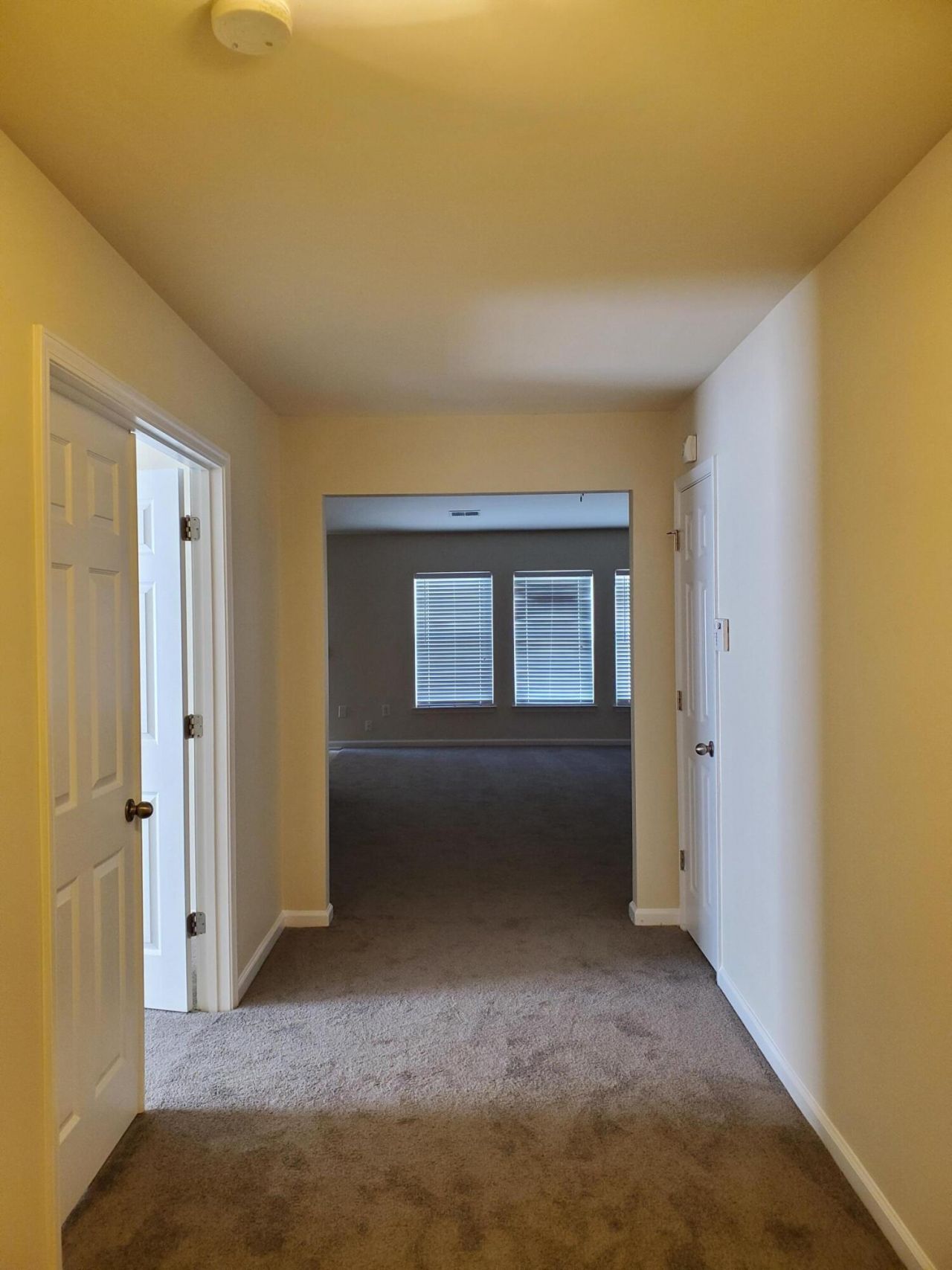 103 Salem Creek Drive Photo 8
