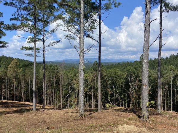 LOT 63 Lacey Springs Lane, Ellijay, GA 30540