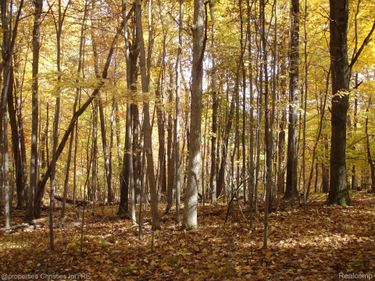 1451 Barrwood Trail, Oxford Village, Mi 48371