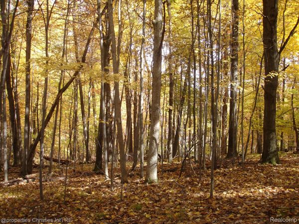 1451 Barrwood Trail, Oxford Village, Mi 48371