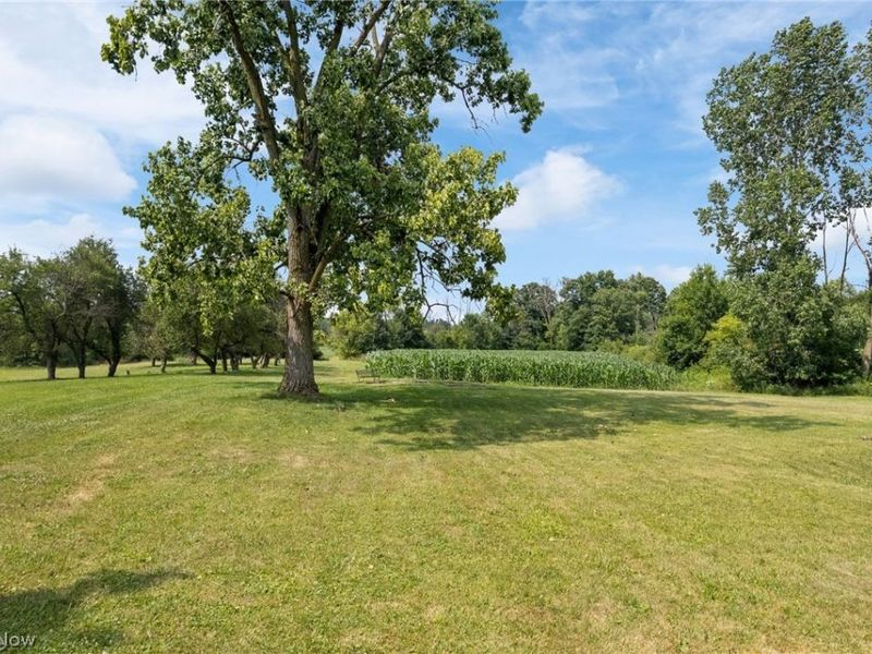 7999 Wadsworth Road, Wadsworth, OH 44281 Photo 6