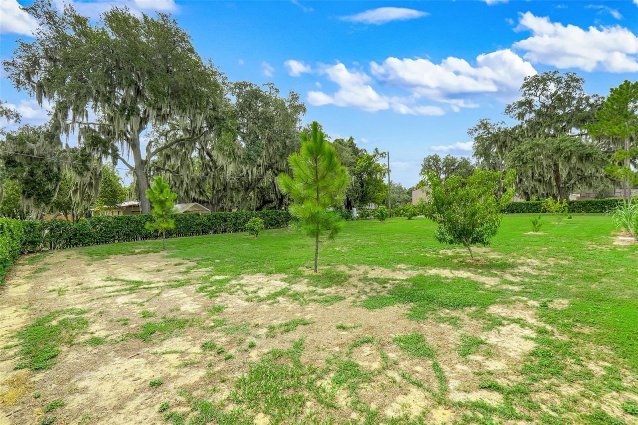 13234 South Carolina Avenue, Astatula, FL 34705 Photo