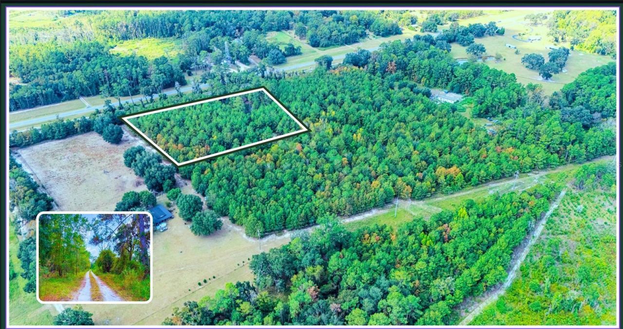 Tbd Lot 36 SE Us 41 Hwy, White Springs, FL 32096 Photo
