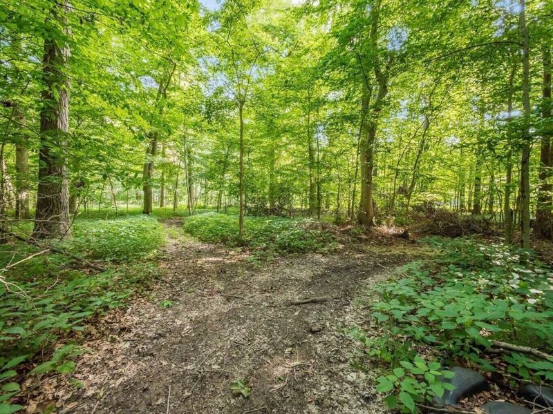 6690 Mccurdy Road, Delaware, OH 43015 Photo 50