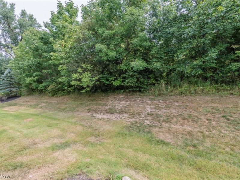 8541 Alexis Drive, Macedonia, OH 44056 Photo 25