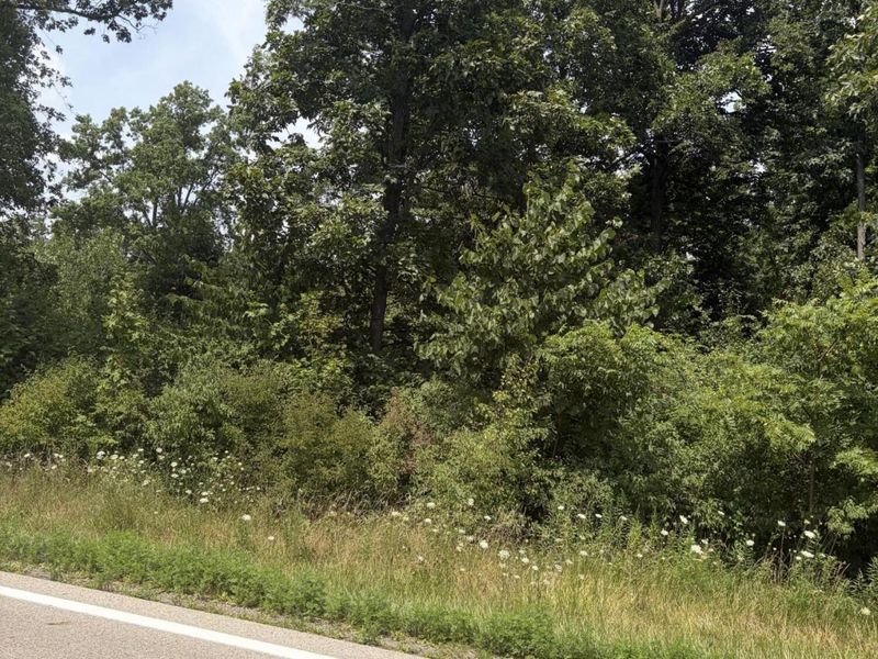 10183 State Route 705 , Sidney, OH 45365 Photo 3