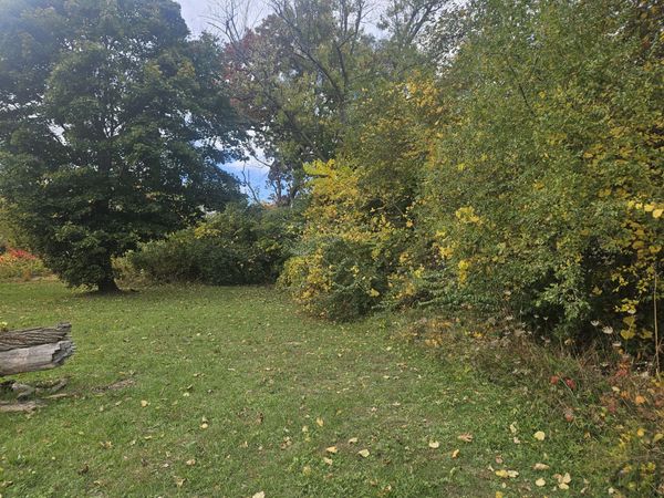 238 Pine Street, Benton Harbor, MI 49022