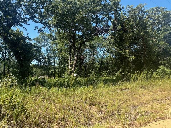 1 Driftwood Road , Kingston, OK 73439