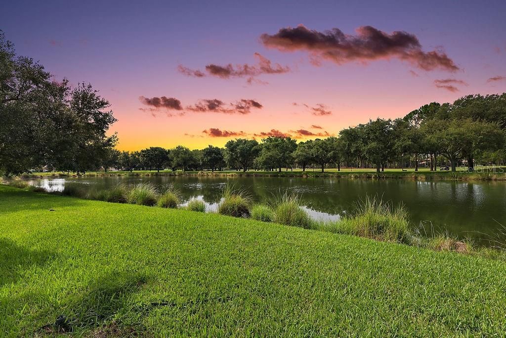 9620 San Fernando Court, Howey in the Hills, FL 34737 Photo