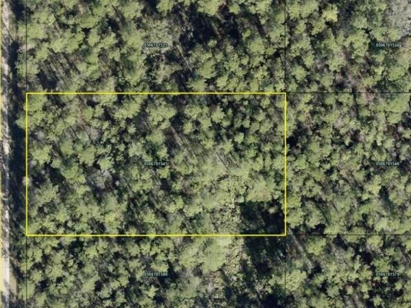 10620 DELGADO AVENUE , HASTINGS, FL 32145