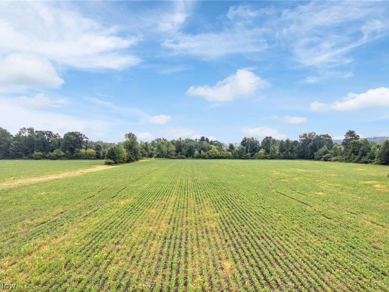 7999 Wadsworth Road, Wadsworth, OH 44281 Photo 4
