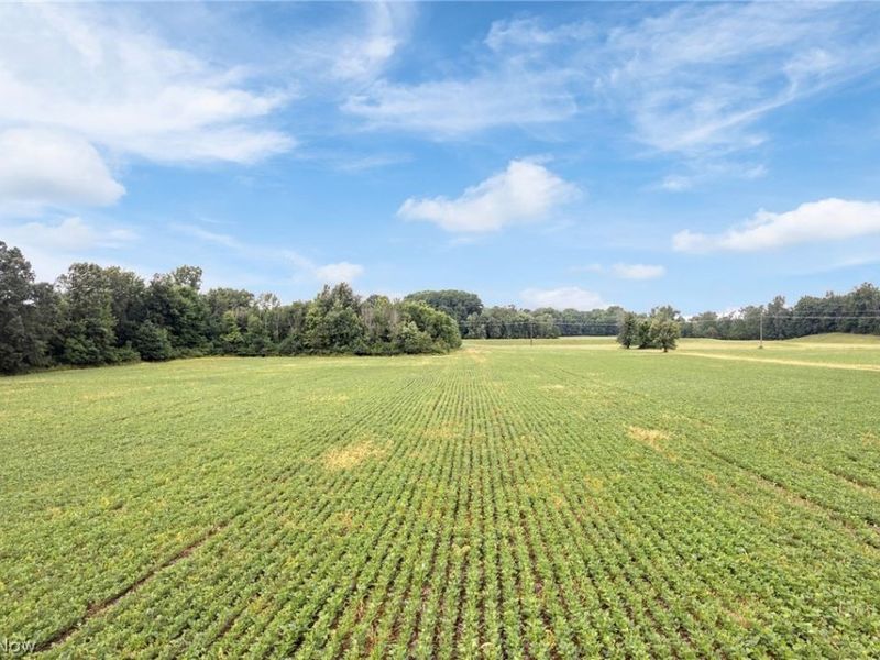 7999 Wadsworth Road, Wadsworth, OH 44281 Photo 5