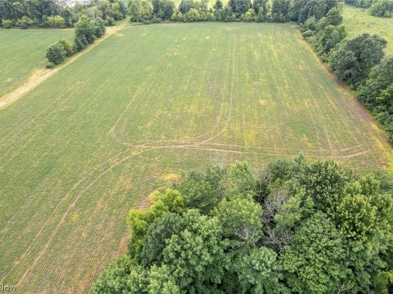 7999 Wadsworth Road, Wadsworth, OH 44281 Photo 7