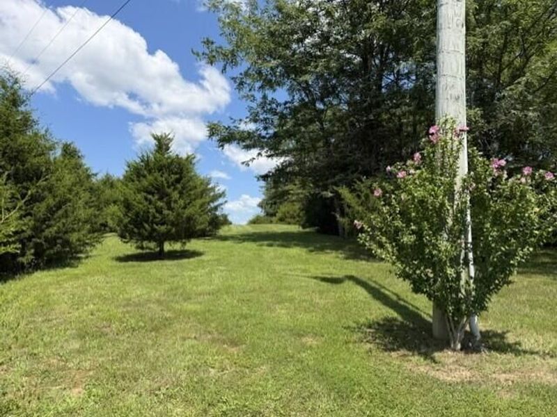 451 Mann Spur, Mount Olivet, KY 41064 Photo 17