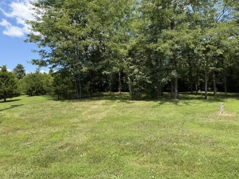 451 Mann Spur, Mount Olivet, KY 41064 Photo 2