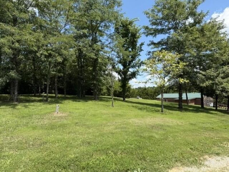 451 Mann Spur, Mount Olivet, KY 41064 Photo 3