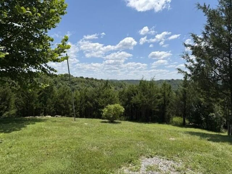 451 Mann Spur, Mount Olivet, KY 41064 Photo 7