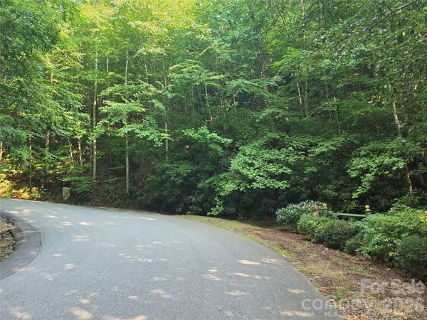 TBD Henry Dingus Way , Maggie Valley, NC 28751