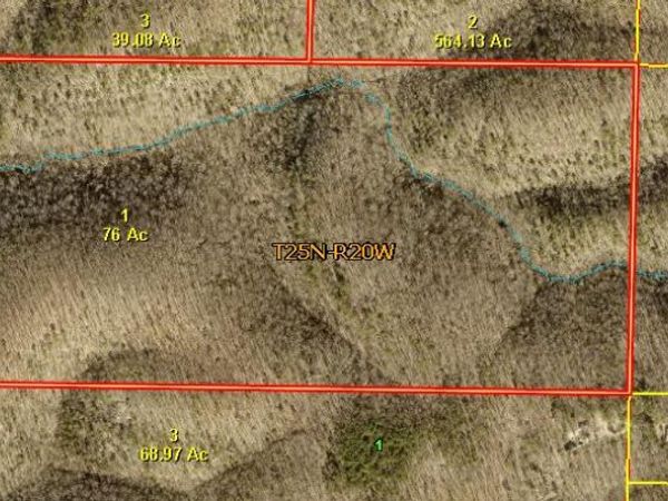 000 Tbd Road , Chadwick, MO 65629