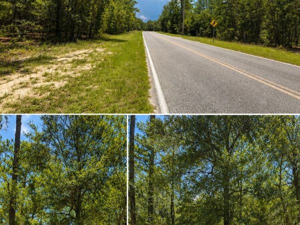 509 BADEN POWELL ROAD, Other, FL 32640