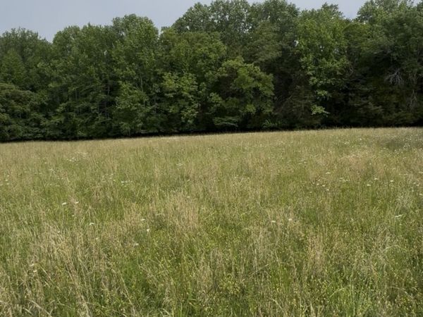 0 Riverview Road , Unit 3, Mount Juliet, TN 37122
