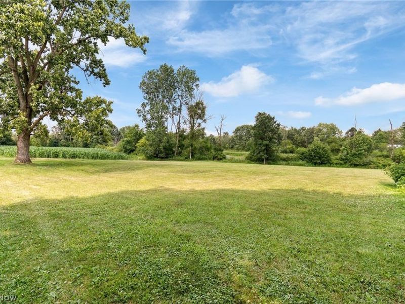 Wadsworth Road , Wadsworth, OH 44281 Photo 12