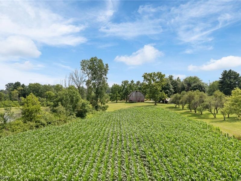 Wadsworth Road , Wadsworth, OH 44281 Photo 14