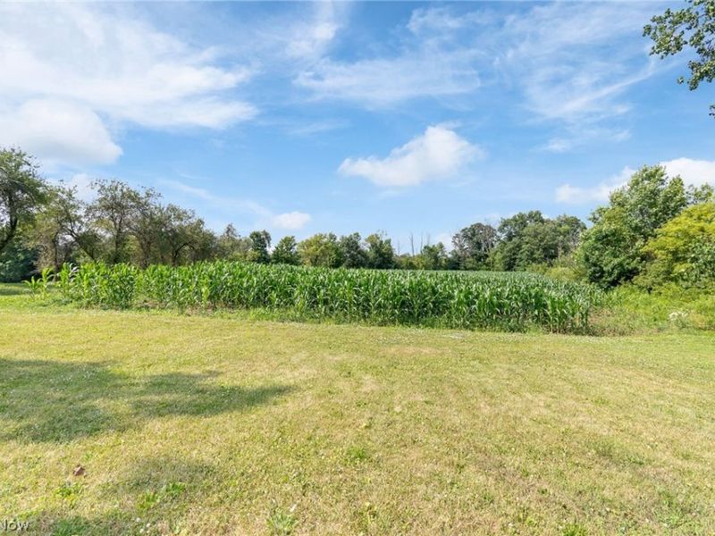 Wadsworth Road , Wadsworth, OH 44281 Photo 6